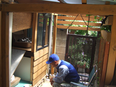 猫社員と人社員