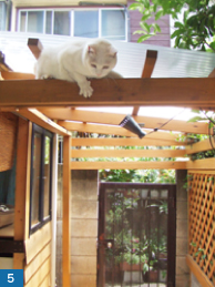 人社員と万年平の猫社員ユキオ