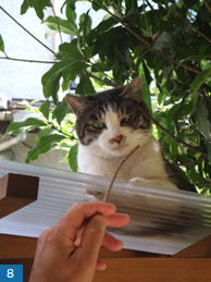 ■人社員とママ課長